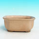 Ceramic bonsai bowl H 31 - 14,5 x 12,5 x 6 cm, beige - 14.5 x 12.5 x 6 cm - 2/3