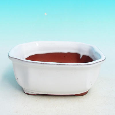 Bonsai bowl H31 - bowl 14,5 x 12,5 x 6 cm, bowl 14,5 x 12,5 x 1 cm, white  - bowl 14,5 x 12,5 x 6 cm, tray 14,5 x 12,5 x 1 cm - 2