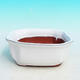 Bonsai bowl H31 - bowl 14,5 x 12,5 x 6 cm, bowl 14,5 x 12,5 x 1 cm, white  - bowl 14,5 x 12,5 x 6 cm, tray 14,5 x 12,5 x 1 cm - 2/4