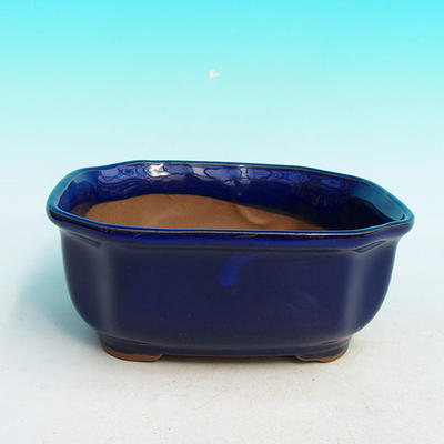 Bonsai bowl H31 - bowl 14,5 x 12,5 x 6 cm, bowl 14,5 x 12,5 x 1 cm, blue - bowl 14,5 x 12,5 x 6 cm, tray 14,5 x 12,5 x 1 cm - 2