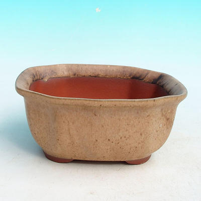 Bonsai bowl tray H32 - bowl 12.5 x 10.5 x 6 cm, tray 12.5 x 10.5 x 1 cm, beige bowl 12.5 x 10.5 x 6 cm, tray 12.5 x 10.5 x 1 cm - 2