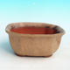 Bonsai bowl tray H32 - bowl 12.5 x 10.5 x 6 cm, tray 12.5 x 10.5 x 1 cm, beige bowl 12.5 x 10.5 x 6 cm, tray 12.5 x 10.5 x 1 cm - 2/4