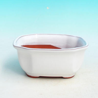 Bonsai bowl tray H32 - bowl 12.5 x 10.5 x 6 cm, tray 12.5 x 10.5 x 1 cm, white bowl 12.5 x 10.5 x 6 cm, tray 12.5 x 10.5 x 1 cm - 2