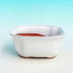 Bonsai bowl tray H32 - bowl 12.5 x 10.5 x 6 cm, tray 12.5 x 10.5 x 1 cm, white bowl 12.5 x 10.5 x 6 cm, tray 12.5 x 10.5 x 1 cm - 2/4