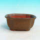 Bonsai bowl tray H32 - bowl 12.5 x 10.5 x 6 cm, tray 12.5 x 10.5 x 1 cm, brown bowl 12.5 x 10.5 x 6 cm, tray 12.5 x 10.5 x 1 cm - 2/4