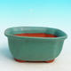 Bonsai bowl tray H32 - bowl 12.5 x 10.5 x 6 cm, tray 12.5 x 10.5 x 1 cm, green bowl 12.5 x 10.5 x 6 cm, tray 12.5 x 10.5 x 1 cm - 2/4