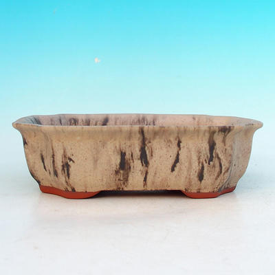 Ceramic bonsai bowl H 03 - 16,5 x 11,5 x 5 cm, beige - 16.5 x 11.5 x 5 cm - 2