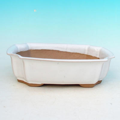 Bonsai bowl tray H03 - 16,5 x 11,5 x 5 cm, tray 16,5 x 11,5 x 1 cm, white - 16.5 x 11.5 x 5 cm, tray 16.5 x 11.5 x 1 cm - 2
