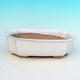 Bonsai bowl tray H03 - 16,5 x 11,5 x 5 cm, tray 16,5 x 11,5 x 1 cm, white - 16.5 x 11.5 x 5 cm, tray 16.5 x 11.5 x 1 cm - 2/4