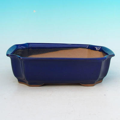 Bonsai bowl tray H03 - 16,5 x 11,5 x 5 cm, tray 16,5 x 11,5 x 1 cm, blue - 16,5 x 11,5 x 5 cm, tray 16,5 x 11,5 x 1 cm - 2
