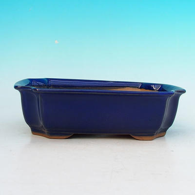 Ceramic bonsai bowl H 03 - 16,5 x 11,5 x 5 cm, blue - 16.5 x 11.5 x 5 cm - 2