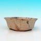 Ceramic bonsai bowl H 06 - 14,5 x 14,5 x 4,5 cm, beige - 14.5 x 14.5 x 4.5 cm - 2/3