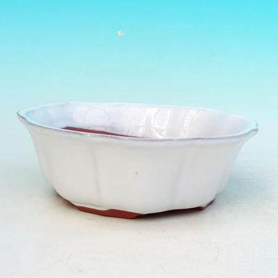 Bonsai bowl tray H06 - bowl 14,5 x 14,5 x 4,5, tray 13,5 x 13,5 x 1,5 cm, green - bowl 14,5 x 14,5 x 4,5, tray 13,5 x 13,5 x 1,5 cm - 2