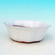 Bonsai bowl tray H06 - bowl 14,5 x 14,5 x 4,5, tray 13,5 x 13,5 x 1,5 cm, green - bowl 14,5 x 14,5 x 4,5, tray 13,5 x 13,5 x 1,5 cm - 2/4