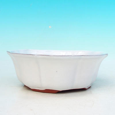 Ceramic bonsai bowl H 06 - 14,5 x 14,5 x 4,5 cm, white - 14.5 x 14.5 x 4.5 cm - 2