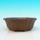 Ceramic bonsai bowl H 06 - 14,5 x 14,5 x 4,5 cm, brown - 14.5 x 14.5 x 4.5 cm - 2/3