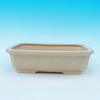 Bonsai pot  and tray of water  H07, beige - 2