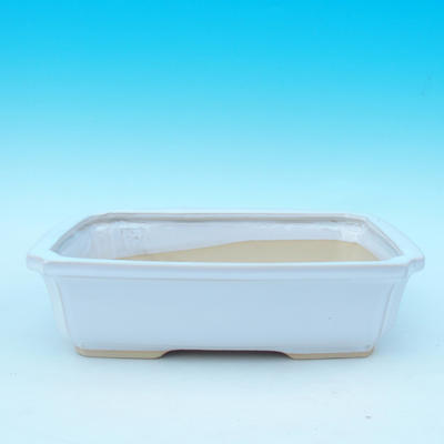 Bonsai pot  and tray of water  H07, white - 2