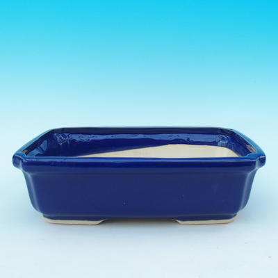 Bonsai pot  and tray of water  H07, blue - 2