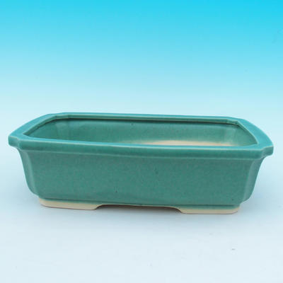 bonsai bowl and tray of water H 20, green - 2