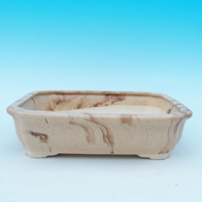 bonsai bowl and tray of water H 20, beige - 2