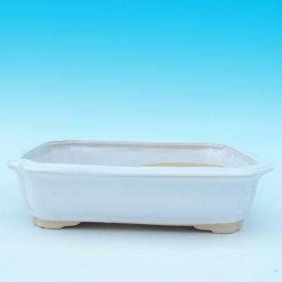 bonsai bowl and tray of water H 20, white - 2
