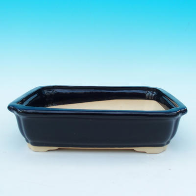 bonsai bowl and tray of water H 20, black  glossymatt - 2