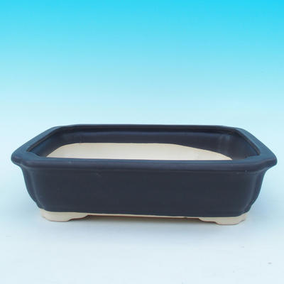 bonsai bowl and tray of water H 20, black matt - 2