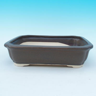 bonsai bowl and tray of water H 20, brown - 2