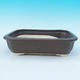 bonsai bowl and tray of water H 20, brown - 2/3