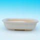 Bonsai bowl, tray H 08 - bowl 24,5 x 18 x 7 cm, tray 23 x 16 x 1,5 cm, beige - bowl 24,5 x 18 x 7 cm, tray 23 x 16 x 1,5 cm - 2/3