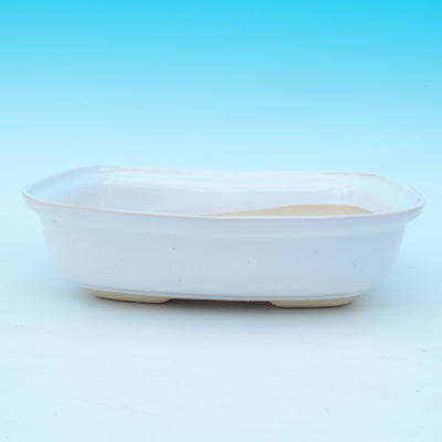 Bonsai bowl, tray H 08 - bowl 24,5 x 18 x 7 cm, tray 23 x 16 x 1,5 cm, White - bowl 24,5 x 18 x 7 cm, tray 23 x 16 x 1,5 cm - 2