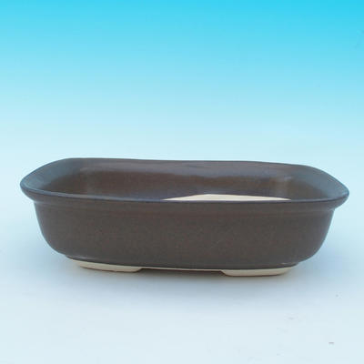 Bonsai bowl + tray H09 - bowl 31 x 21 x 8 cm, tray 28 x 19 x 1,5 cm, brown - bowl 31 x 21 x 8 cm, tray 28 x 19 x 1,5 cm - 2