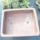 Bonsai bowl 80 x 61 x 20 cm - 2/6