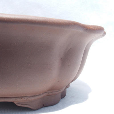 Bonsai bowl 43 x 43 x 13 cm - 2