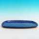 Bonsai water tray H10 - 34 x 23 x 2 cm, blue - 34 x 23 x 2 cm - 2/3