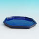 Bonsai tray 13 - 11 x 11 x 1,5 cm, blue - 11 x 11 x 1.5 cm - 2/3