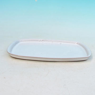 Bonsai water tray H 02 - 17 x 12 x 1 cm, white - 17 x 12 x 1 cm - 2
