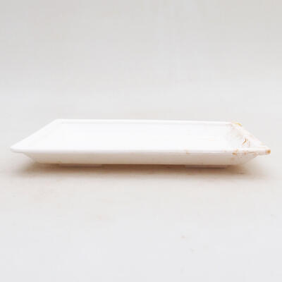 Bonsai saucer plastic PP-1 white 15 x 11 x 1.8 cm - 2