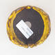 Ceramic shell 7 x 7 x 5.5 cm, color yellow - 3/3