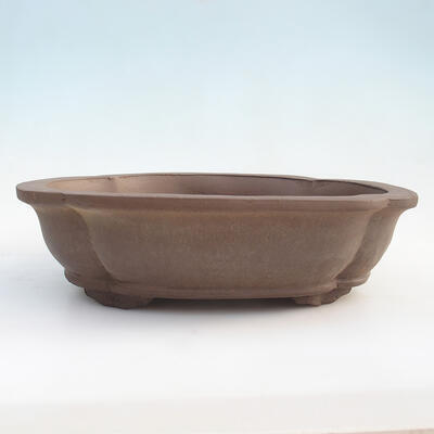 Bonsai bowl 50 x 41 x 13 cm - 3