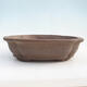 Bonsai bowl 50 x 41 x 13 cm - 3/7