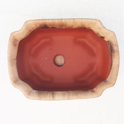 Bonsai bowl + tray H01 - tray 12 x 9 x 5 cm, tray 11,5 x 8,5 x 1 cm, beige - bowl 12 x 9 x 5 cm, tray 11,5 x 8,5 x 1 cm - 3