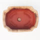 Bonsai bowl + tray H01 - tray 12 x 9 x 5 cm, tray 11,5 x 8,5 x 1 cm, beige - bowl 12 x 9 x 5 cm, tray 11,5 x 8,5 x 1 cm - 3/3