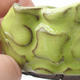 Ceramic Shell 8 x 6 x 5 cm, color green - 3/3