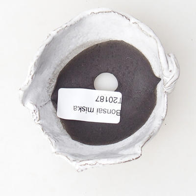 Ceramic Shell 7,5 x 7 x 5,5 cm, white color - 3