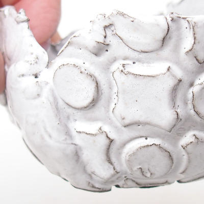Ceramic Shell 8 x 7 x 5,5 cm, color white - 3