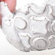 Ceramic Shell 8 x 7 x 5,5 cm, color white - 3/3