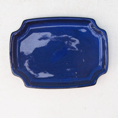 Bonsai tray H 01 - 11,5 x 8,5 x 1 cm, blue - 11.5 x 8.5 x 1 cm - 3