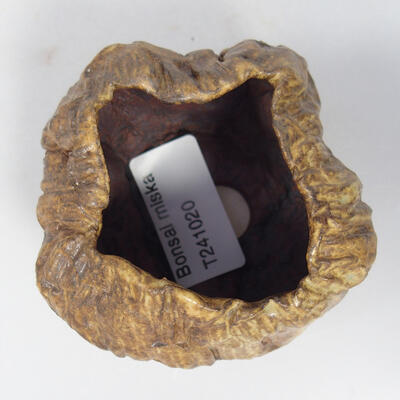 Ceramic Shell 8 x 8 x 5.5 cm, color brown - 3